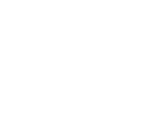 PREMIUM Coaching-Paket  8x 1:1, individuell